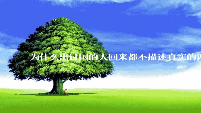 为什么出过国的人回来都不描述真实的西方百姓生活？