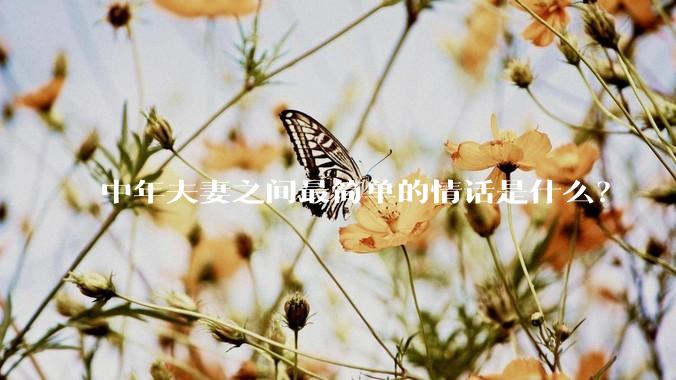 中年夫妻之间最简单的情话是什么？
