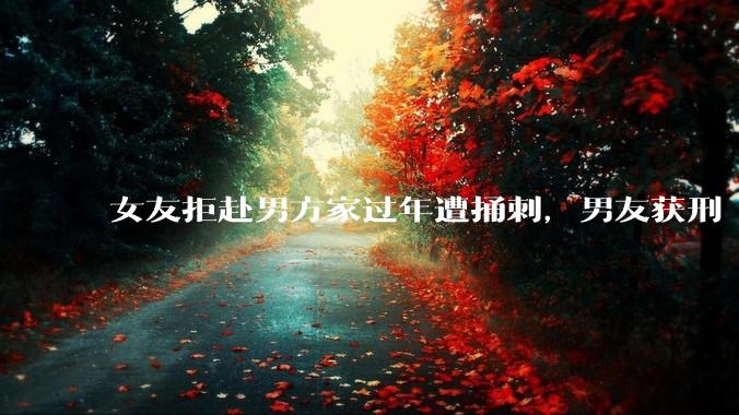 女友拒赴男方家过年遭捅刺，男友获刑 4 年 3 个月，该案件起到了哪些警示作用？